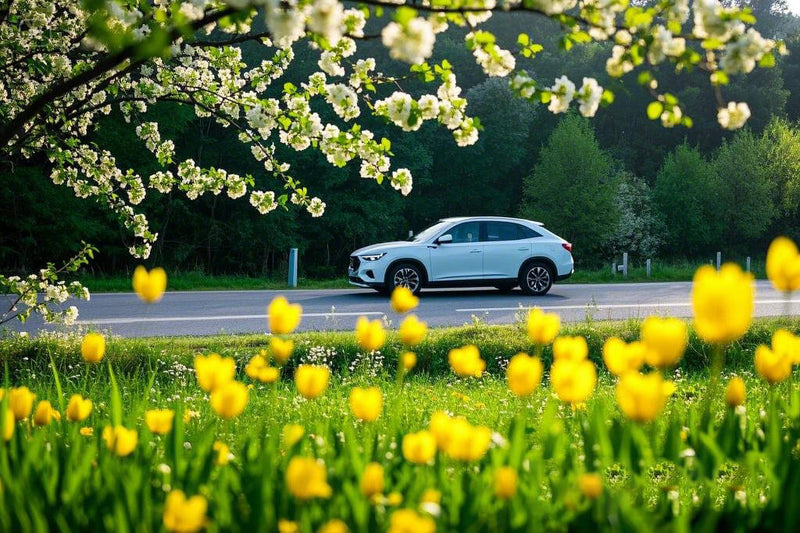 Spring Car Maintenance Guide: Keep Your Vehicle in Peak Condition